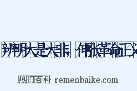 辨明大是大非，伸张革命正义是什么意思的图片